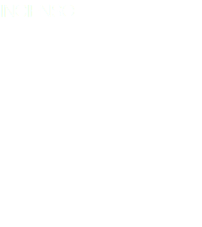 INCIENSO Cortometraje Frank y Julio , son dos adolescentes que sobreviven idealizando un futuro a través del rebusque, vendiendo incienso en los buses. En el transcurrir de un día afianzan su amistad aprendiendo el uno del otro, cosechando la esperanza de hacer realidad sus sueños y calmar sus necesidades. Se divierten consiguiendo dinero, pero no cuentan con que su realidad es tan hostil que los devuelve de un golpe crudo y seco a la realidad, dejándolos vulnerables, a la deriva y expuestos a lo que la ciudad violenta donde viven les depare. 